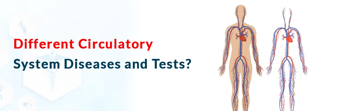  Different Circulatory System Diseases and Tests?